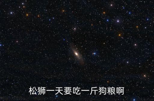 松獅一天要吃一斤狗糧啊