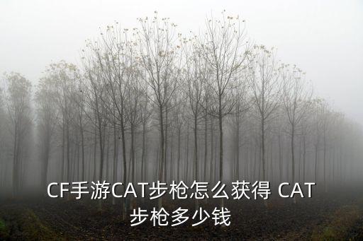 小貓刷多少錢，求晴天小貓刷魚骨金幣秘籍