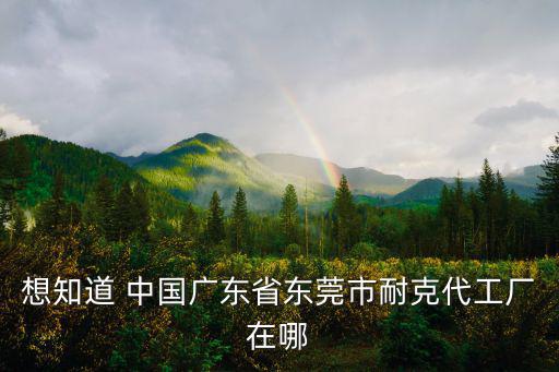 想知道 中國廣東省東莞市耐克代工廠在哪