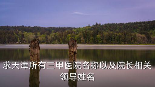 天津市第一中心醫院血液科鄧琦，天津第一中心醫院紀黎明簡介
