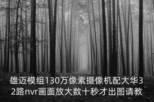 雄邁模組130萬像素攝像機配大華32路nvr畫面放大數(shù)十秒才出圖請教