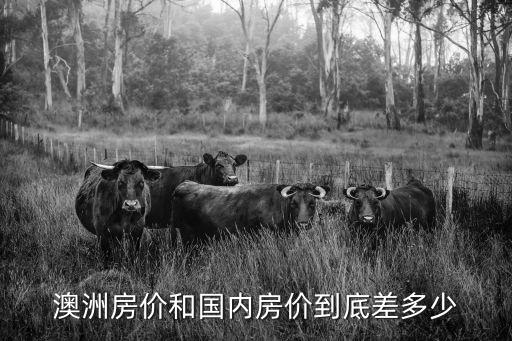 澳洲房價和國內房價到底差多少