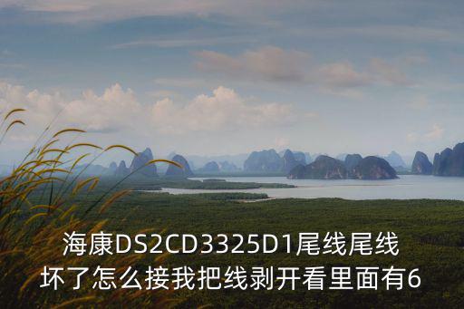 ?？礑S2CD3325D1尾線尾線壞了怎么接我把線剝開看里面有6