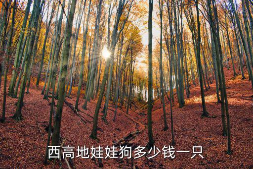 東方力美西高地犬多少錢一只，請問西高地要多少錢
