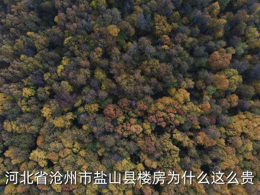 河北省滄州市鹽山縣樓房為什么這么貴