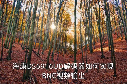 ds 6916ud怎么配置，DS7608NF14NV2怎么配置且能在手機上看該錄像機上的視頻