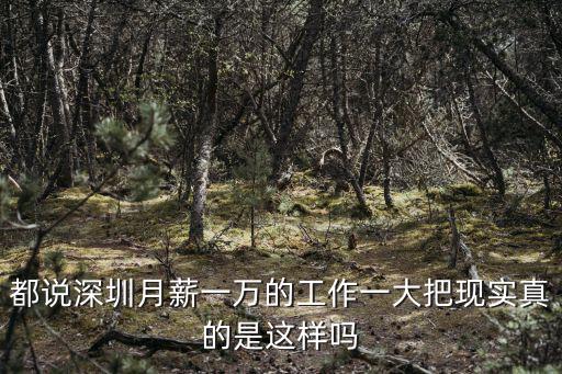都說深圳月薪一萬的工作一大把現(xiàn)實真的是這樣嗎