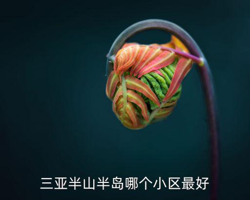 三亞半山半島哪個小區最好
