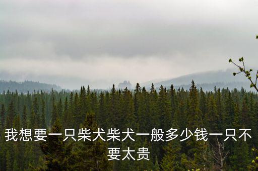 我想要一只柴犬柴犬一般多少錢一只不要太貴