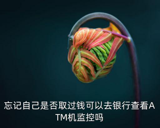 怎么查ATM機取款監控，怎樣調出自動取款機監控錄像