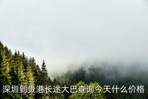 深圳到來鳳的客車，深圳到海南客車票價