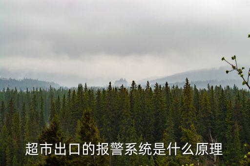 超市出口的報(bào)警系統(tǒng)是什么原理