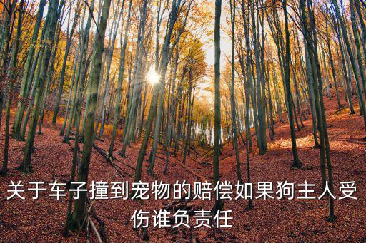 關于車子撞到寵物的賠償如果狗主人受傷誰負責任
