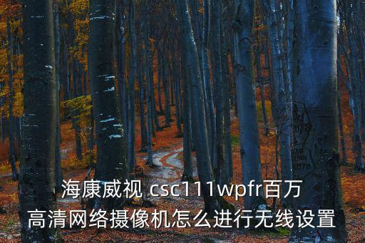 海康威視 csc111wpfr百萬(wàn)高清網(wǎng)絡(luò)攝像機(jī)怎么進(jìn)行無(wú)線(xiàn)設(shè)置