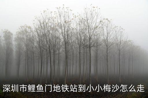 深圳市鯉魚門地鐵站到小小梅沙怎么走