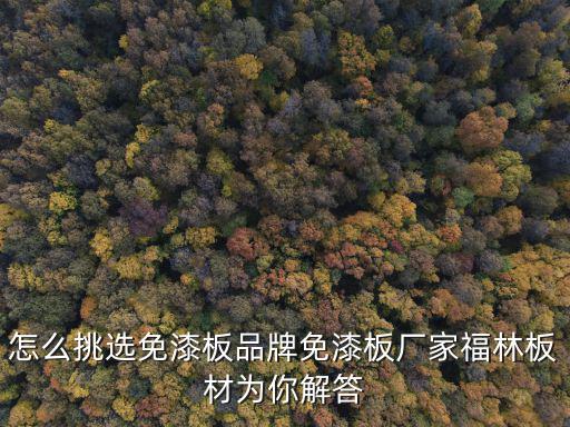 怎么挑選免漆板品牌免漆板廠家福林板材為你解答
