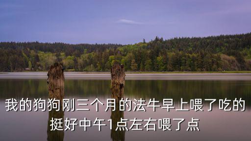 我的狗狗剛三個月的法牛早上喂了吃的挺好中午1點左右喂了點