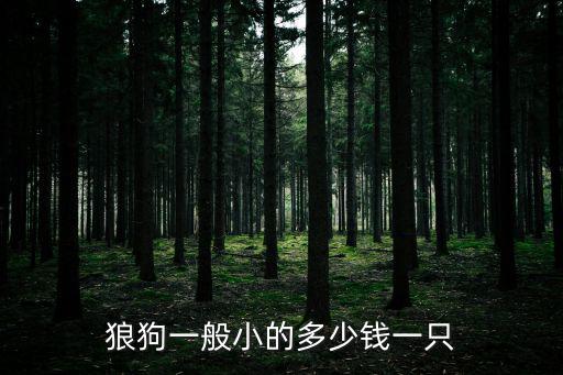 狼狗一般小的多少錢(qián)一只