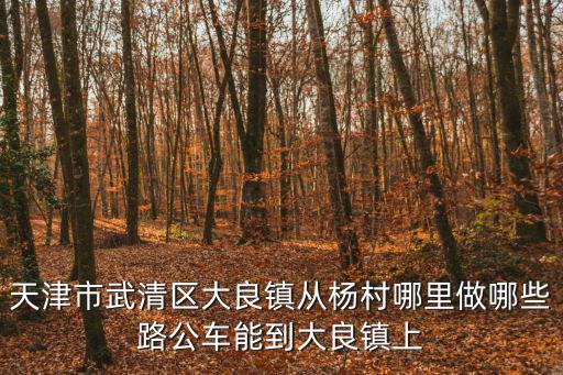天津市武清區大良鎮從楊村哪里做哪些路公車能到大良鎮上