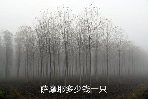 薩摩耶多少錢一只
