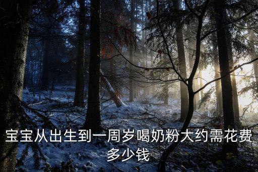 寶寶從出生到一周歲喝奶粉大約需花費多少錢