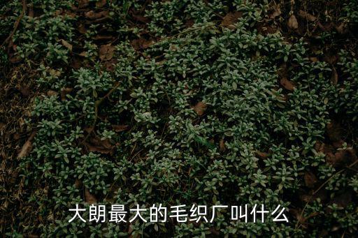 大朗最大的毛織廠叫什么