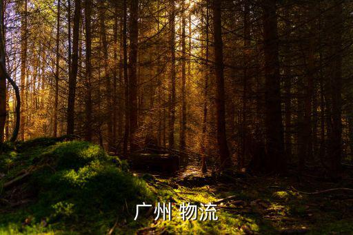 廣州德強物流有限公司，廣州 物流