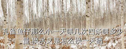 孔雀魚仔那么小一天喂幾次四條喂多少量 換水又是怎么換一天曬