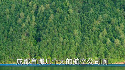 成都有哪幾個大的航空公司啊
