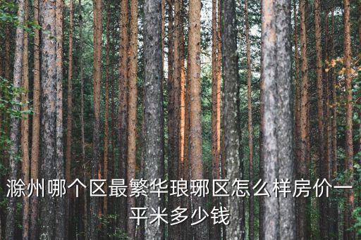 滁州哪個區最繁華瑯琊區怎么樣房價一平米多少錢