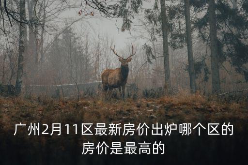 廣州哪個行政區(qū)房價高些，廣州哪個區(qū)的房價最高