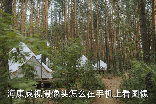 海康威視攝像頭怎么在手機上看圖像