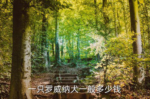 羅特韋爾犬市場(chǎng)價(jià)多少錢，羅威納犬市場(chǎng)價(jià)多少錢