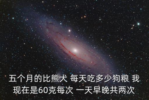 五個(gè)月的比熊犬 每天吃多少狗糧 我現(xiàn)在是60克每次 一天早晚共兩次