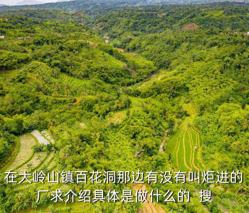 在大嶺山鎮(zhèn)百花洞那邊有沒有叫炬進的廠求介紹具體是做什么的  搜