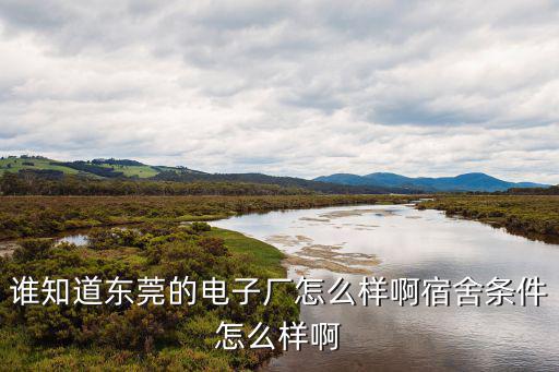 誰知道東莞的電子廠怎么樣啊宿舍條件怎么樣啊