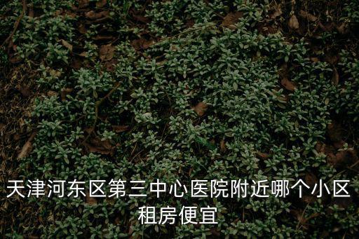 天津河東區第三中心醫院附近哪個小區租房便宜