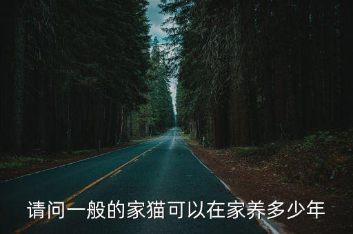 請問一般的家貓可以在家養多少年