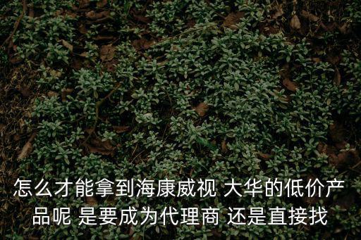 怎么才能拿到海康威視 大華的低價(jià)產(chǎn)品呢 是要成為代理商 還是直接找