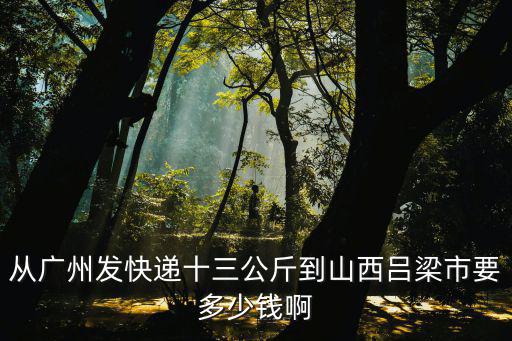 從廣州發快遞十三公斤到山西呂梁市要多少錢啊