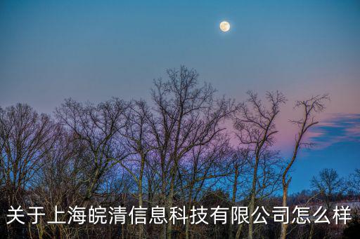關(guān)于上海皖清信息科技有限公司怎么樣