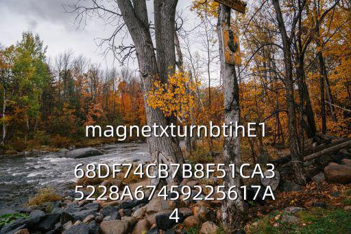 magnetxturnbtihE168DF74CB7B8F51CA35228A67459225617A4