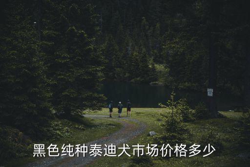 黑色貴賓最便宜多少錢一只，貴賓犬按顏色分價錢排名