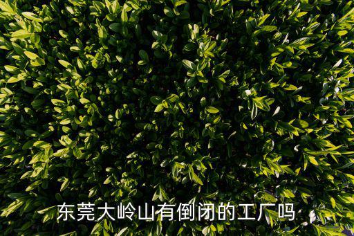 東莞大嶺山有倒閉的工廠嗎