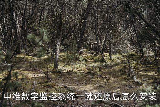 中維數字監控系統怎么用，中維數字監控系統一鍵還原后怎么安裝