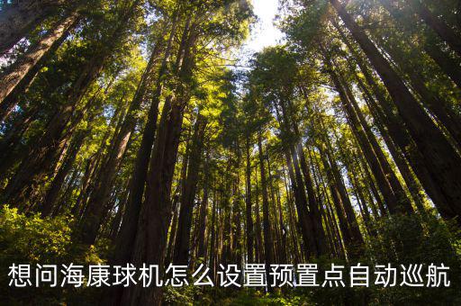 想問海康球機怎么設置預置點自動巡航