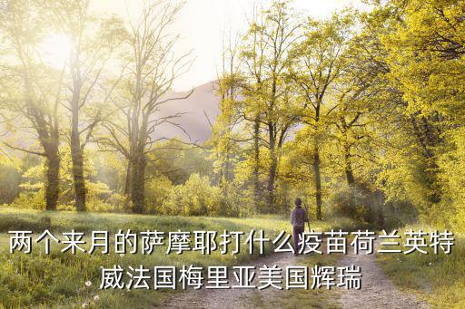 梅里亞疫苗一套多少錢，兩個來月的薩摩耶打什么疫苗荷蘭英特威法國梅里亞美國輝瑞