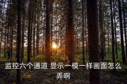 監控六個通道 顯示一模一樣畫面怎么弄啊