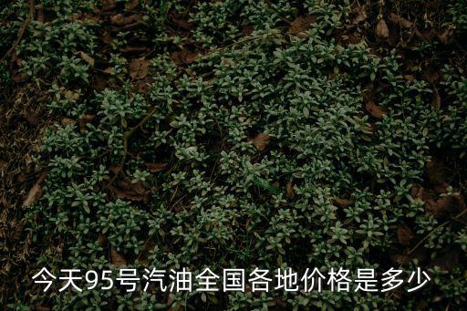 東莞95 汽油批發價格，今天95號汽油全國各地價格是多少