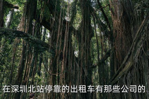 在深圳北站?？康某鲎廛囉心切┕镜? class=